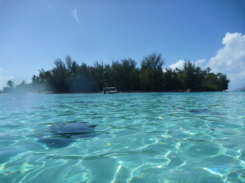 Fare Vaihere Moorea Esterno foto